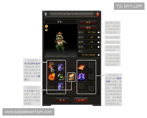 全面解析888真人官方网站的注册流程与新手攻略，助你轻松开启游戏之旅