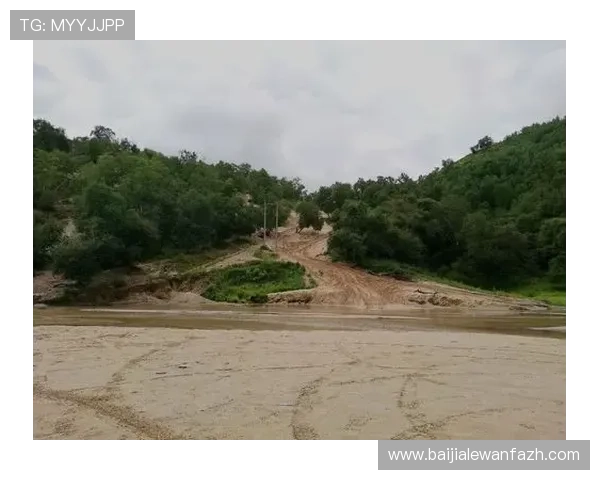 全面解析BG大游真人登录线路的稳定性提升措施与常见问题解决方案