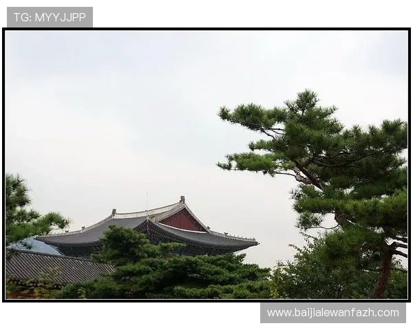 bg大游真人登录线路图详细解析帮助玩家快速找到稳定登录通道指南