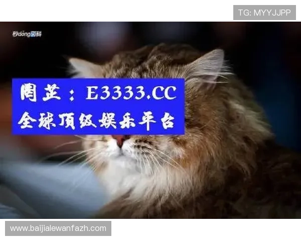 AG真人公司未来发展战略与市场布局，探索其在全球真人娱乐市场中的潜力